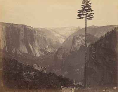 Yosemite Valley vanuit het beste algemene uitzicht door Carleton Watkins