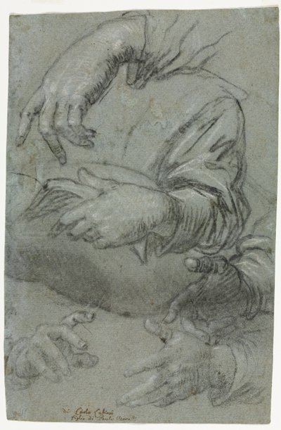 Studies van handen door Carletto Caliari