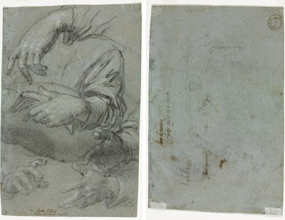 Studies van Handen (recto); Schets van een Kinderhoofd (verso) door Carletto Caliari