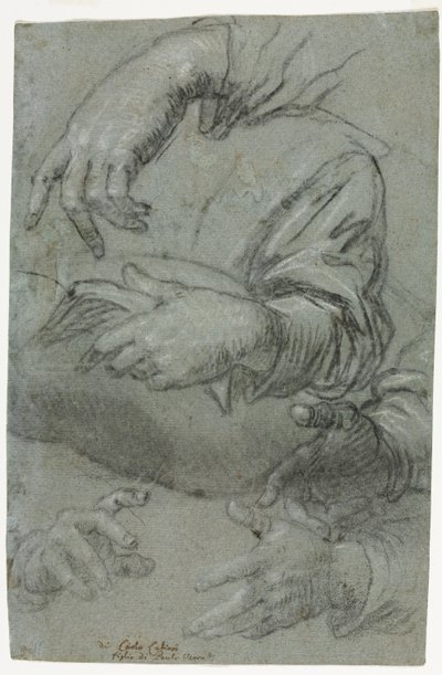 Studies van Handen recto, c. 1586 door Carletto Caliari