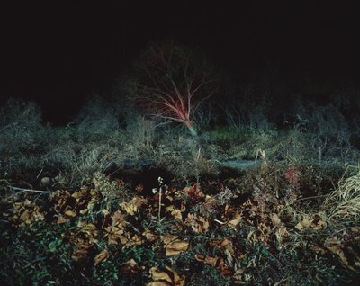 Schilderen in het donker, 2011 door Carli Choi