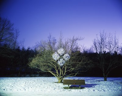 Schilderen in het donker, 2012 door Carli Choi