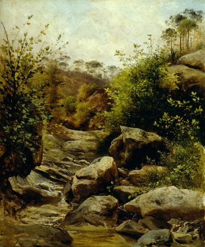 Uitzicht op Scopeti door Carlo Ademollo (1824-1911) door Carlo Ademollo