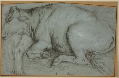 Liggende koe en studie voor de achterpoten van een staande koe door Carlo Caliari