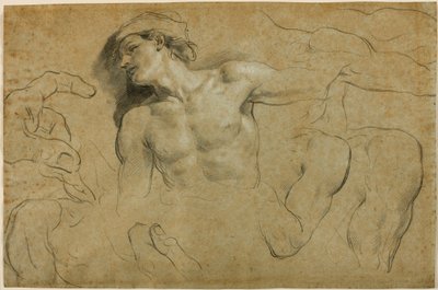 Studies van handen, schouders en een been door Carlo Cignani