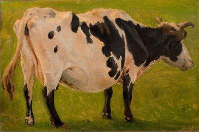 Zwart-witte koe staand. Studie door Carlo Dalgas