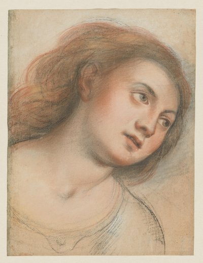 Studie voor vrouwelijk hoofd (verso); Hoofd van Christus (recto) door Carlo Francesco Nuvolone
