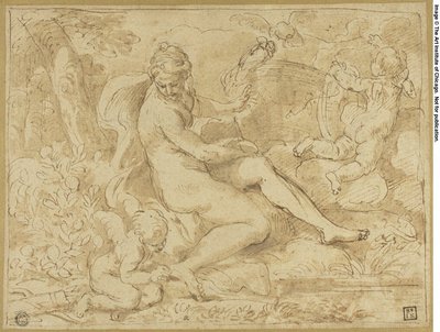 Studie naar de oorsprong van de roos door Carlo Maratti