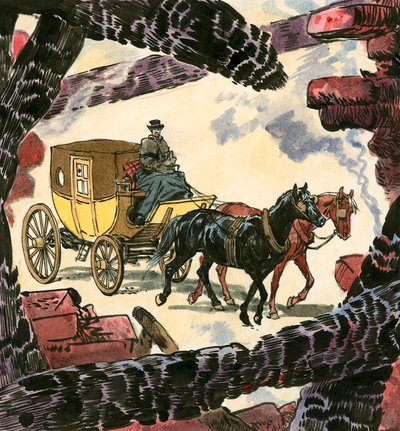 Zwarte Schoonheid door Carlos Gabriel Roume