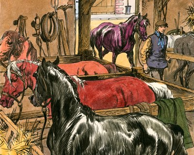 Zwarte Schoonheid door Carlos Gabriel Roume