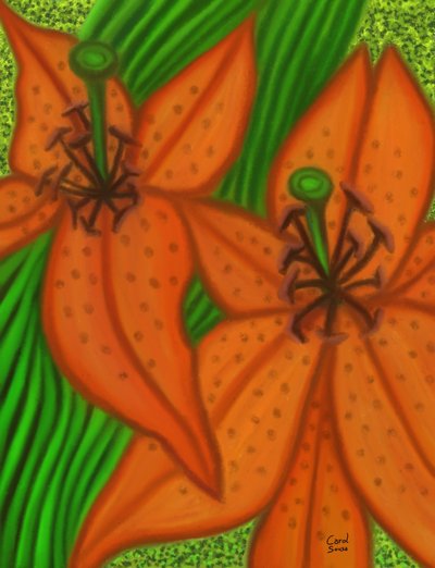 Twee lelies door Carol Sousa Cuello