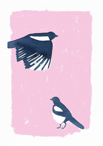 Pink Sky Magpies door Carola Cedell