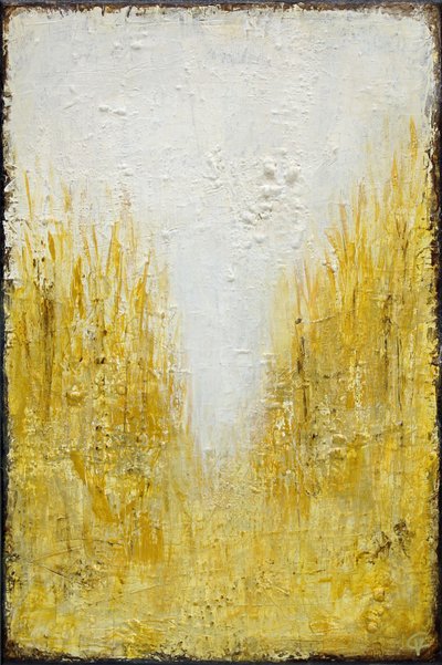 Gouden veldlicht door Carolina Gårdheim