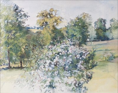Juni vanuit ons raam, 2007 door Caroline Hervey Bathurst