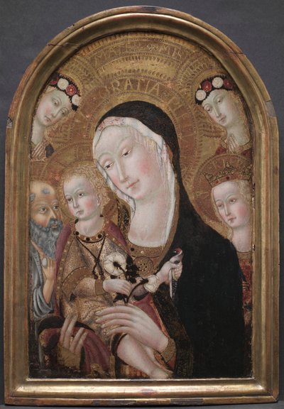 Maagd en Kind met Sint-Jerome en Sint-Catharina van Alexandrië door Carolino da Viterbo