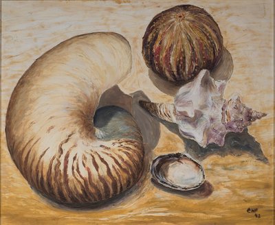 Zeesterren door Carolyn Hubbard Ford