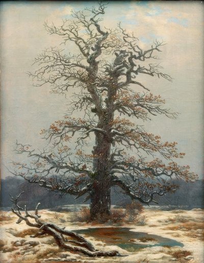 Eik in de sneeuw door Caspar David Friedrich