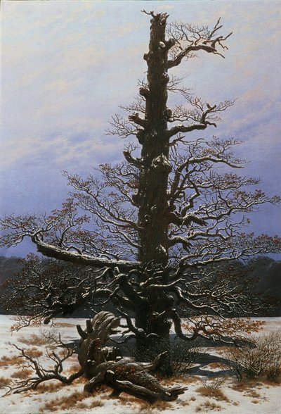 Eik in de sneeuw door Caspar David Friedrich