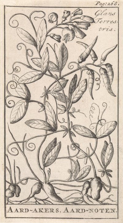 Aardaker door Caspar Luyken