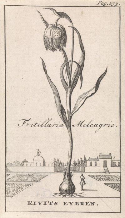 Titelpagina en acht prenten met bloemen door Caspar Luyken