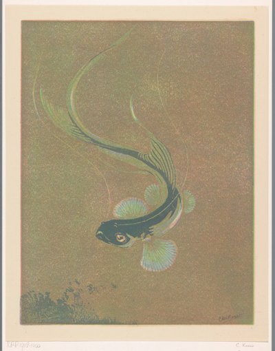 Zwemmende vis door Casper M.L. Kouw (signed by artist)