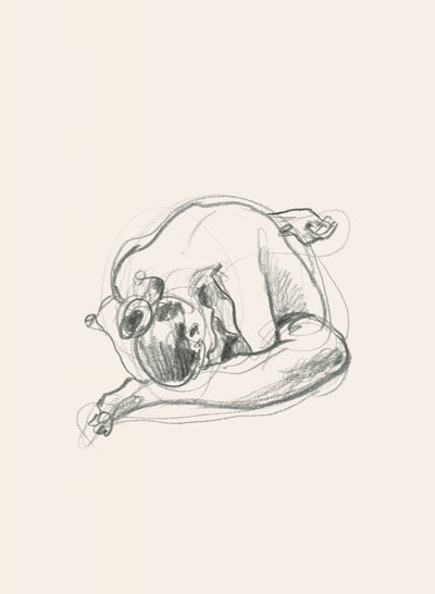 Rustige, opgerolde figuur door Catalina Somolinos