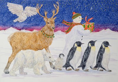 Een cadeau voor de kerstman door Catherine Bradbury