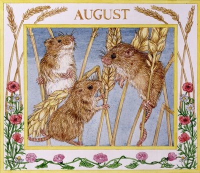 Augustus door Catherine Bradbury