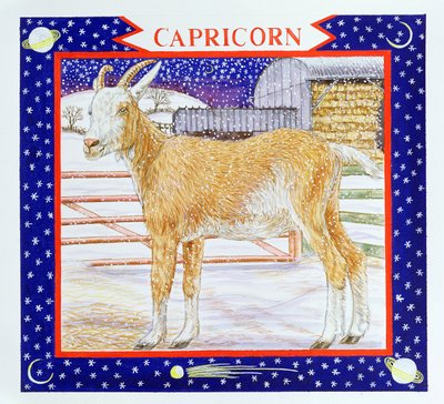Steenbok door Catherine Bradbury