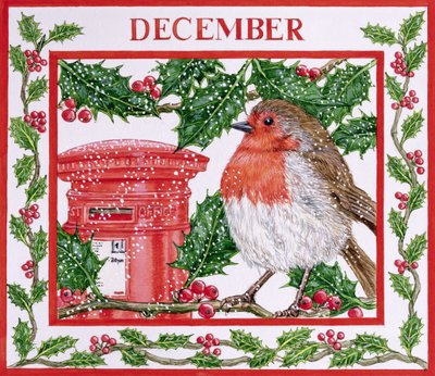 December door Catherine Bradbury
