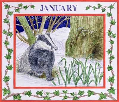 Januari door Catherine Bradbury