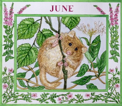 Juni door Catherine Bradbury