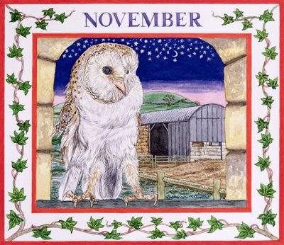 November door Catherine Bradbury