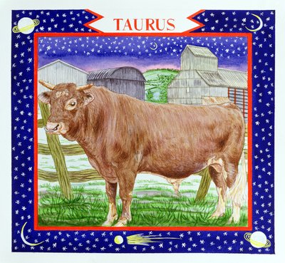 Stier door Catherine Bradbury