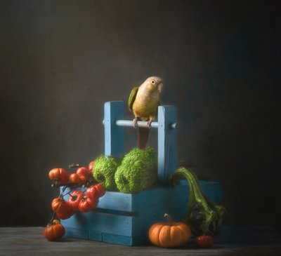 Herfststilleven met papegaai door Catherine Wang