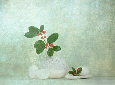 Natural Berry Stone Zen door Catherine Wang