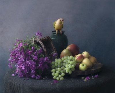 Stilleven met papegaai door Catherine Wang