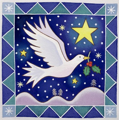 Kerstduif door Cathy Baxter