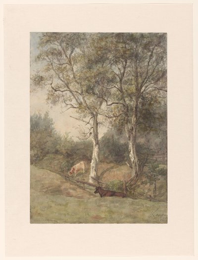 Boslandschap met koeien, bij Wolfheze door Cato Kool