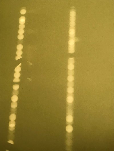 Compositie - Licht, 2019 (foto) door Cécile Jamet