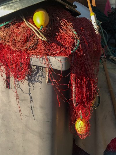Samenstelling - Netten, 2019 (foto) door Cécile Jamet