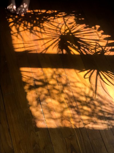 Compositie - Schaduwen, 2019 (foto) door Cécile Jamet