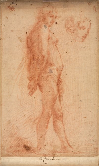 Studie van een Staande Mannelijke Naakt, met een Studie van Hoofd in Driekwart Profiel, ca. 1640 door Cecco Bravo
