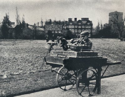 Aardappelen in Kew Gardens door Cecil Beaton