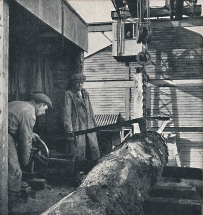 Zagen van hout door Cecil Beaton