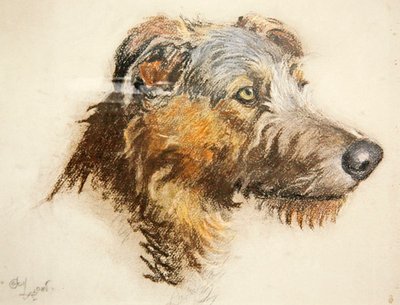 Een Schotse Hertenhond door Cecil Charles Windsor Aldin
