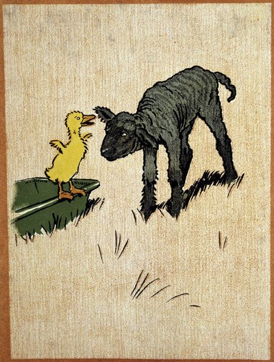 Zwart lammetje en eendje - tekening door Aldin door Cecil Charles Windsor Aldin