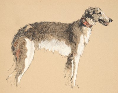 Borzoi, 1930, Illustraties uit zijn schetsboek gebruikt voor Just Among Friends, later gepubliceerd door Eyre en Spottiswoode Limited, 1934 door Cecil Charles Windsor Aldin