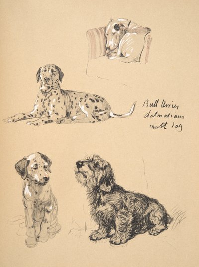 Bull Terrier, Dalmatiërs en Mutt Hond, 1930, Illustraties uit zijn Schetsboek gebruikt voor Just Among Friends, Aldin, Cecil Charles Windsor (1870-1935), later uitgegeven door Eyre and Spottiswoode Limited door Cecil Charles Windsor Aldin