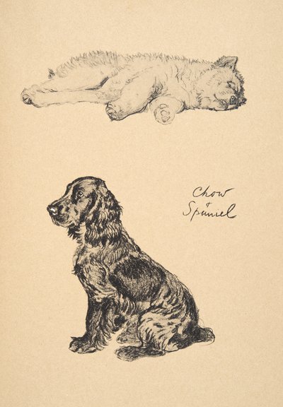 Chow en Spaniel, 1930, Illustraties uit zijn Schetsboek gebruikt voor 